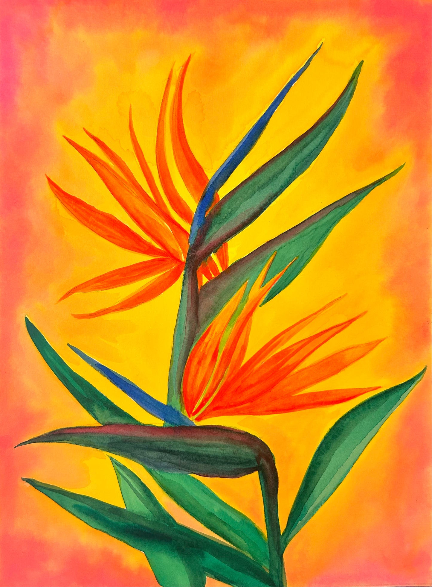 Birds of Paradise Watercolor Art Print